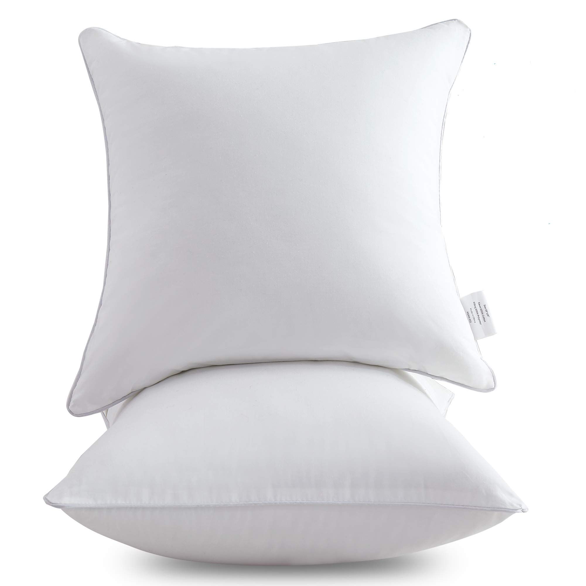 Oubonun 20 x 20 Pillow Inserts (Set of 2) - Throw Pillow Inserts with 100% Cotton Cover - 20 Inch Sq | Amazon (US)