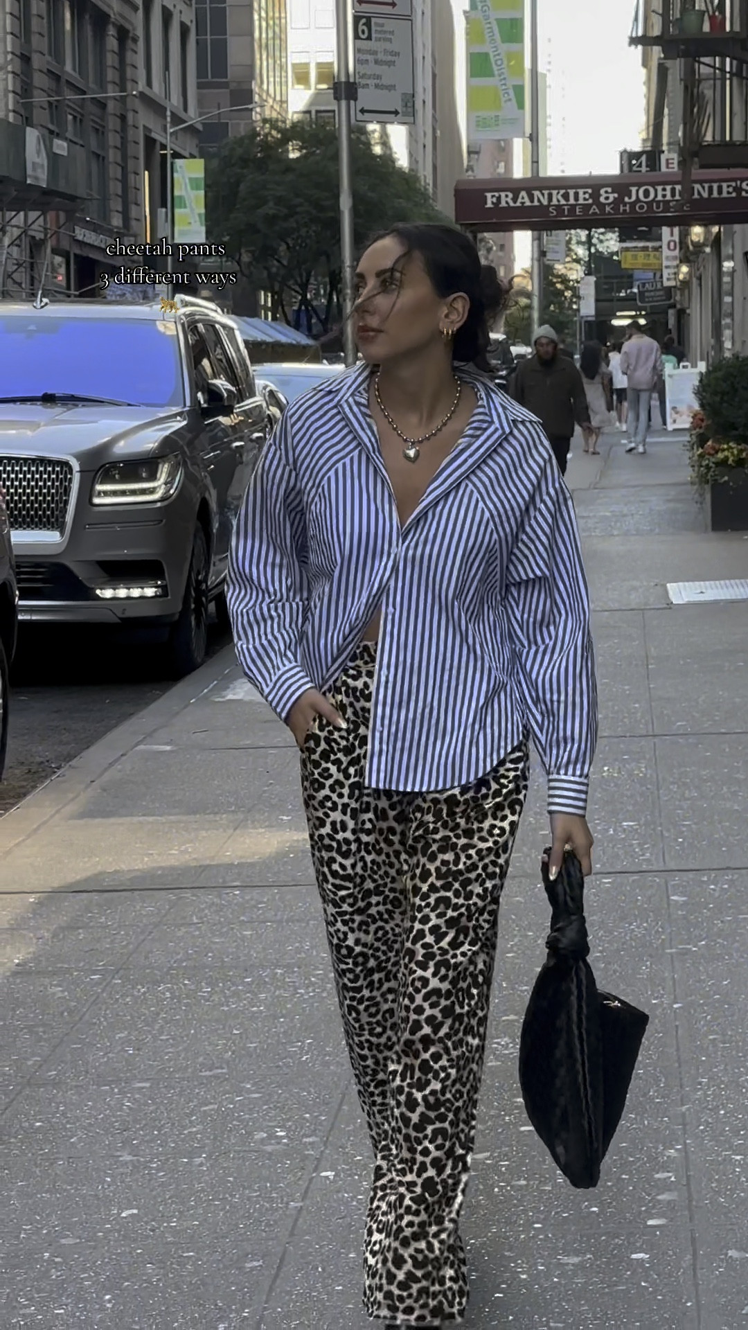 Cheetah pants: 3 ways 

#LTKFindsUnder50 #LTKFindsUnder100 #LTKStyleTip