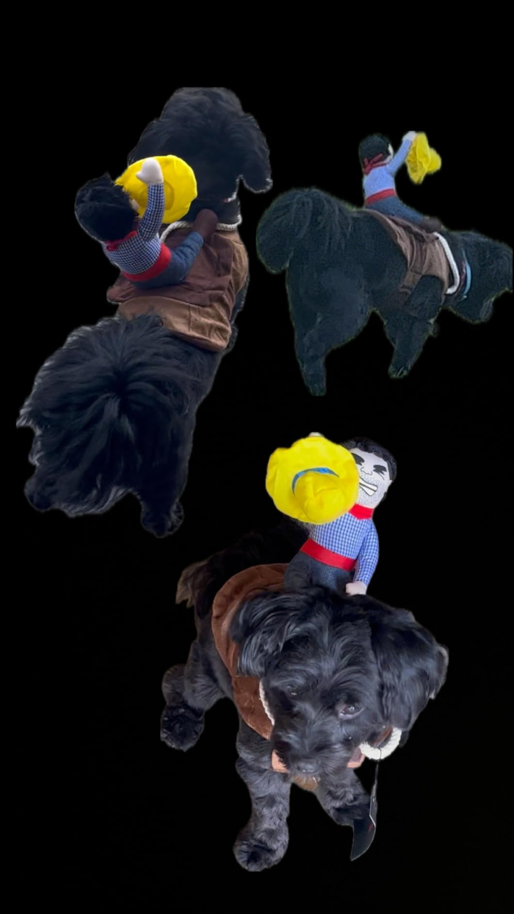 NACOCO Cowboy Rider Dog Costume for Dogs Clothes Knight Style with Doll and Hat for Halloween Day... | Amazon (US)