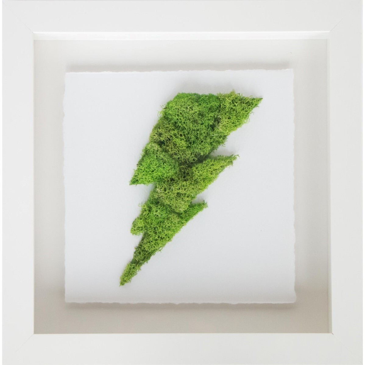 Lightning Moss, Framed | Maisonette