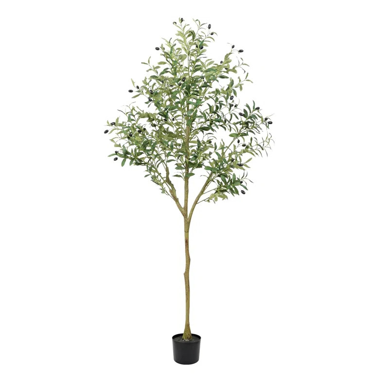 Primrue Faux Olive Tree in Pot Fake Green Plants Room Decor & Reviews | Wayfair | Wayfair North America