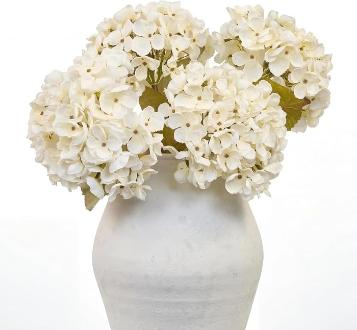White | Amazon (US)