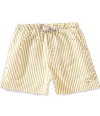 Big Boys Boys Cabana Striped Volley Swim Trunks | Dillard's