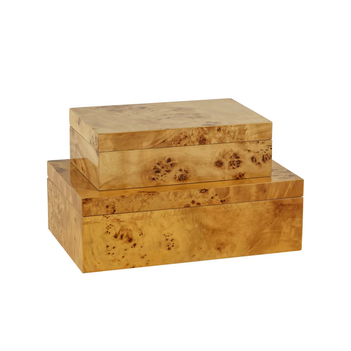 Burl Wood Box | Tuesday Made