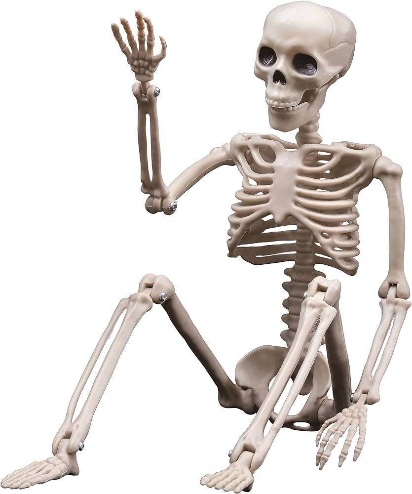 Halloween Skeletons Decorations, 16" Posable Plastic Skeleton, Full Body Skeleton with Movable Jo... | Amazon (US)