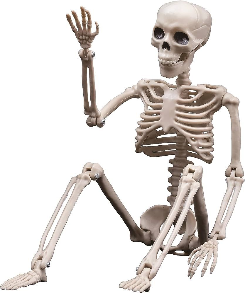 Halloween Skeletons, Halloween Decorations Skull, 16" Full Body Realistic Faux Human Skeleton, Ha... | Amazon (US)