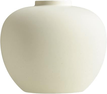 Full Moon Designed Vase, Shaping Flower Art and Displaying Hydroponic Plants, 6.5" × 7.2", Matte... | Amazon (US)