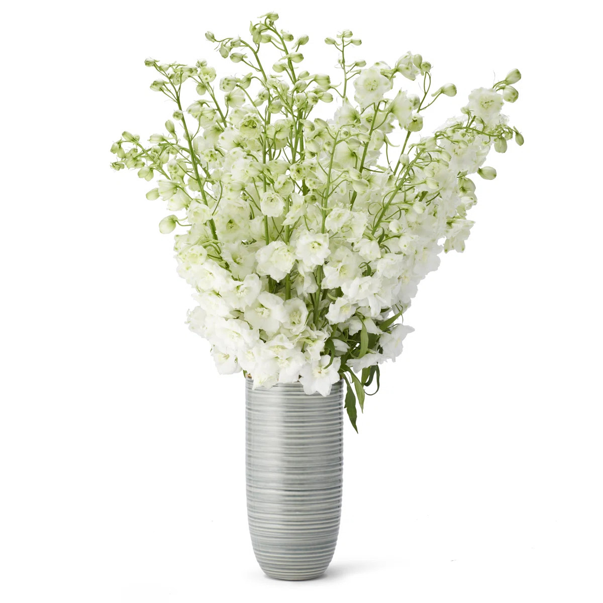 Calinda Ceramic Table Vase | Wayfair North America