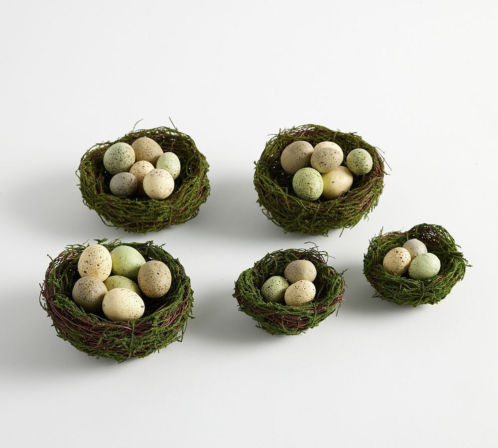 Handcrafted Moss Nests and Faux Eggs | Pottery Barn (US)