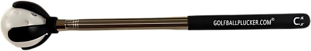 Compact Stainless Steel Telescopic Golf Ball Retriever and Grabber with Magnet in Handle -Picker ... | Amazon (US)