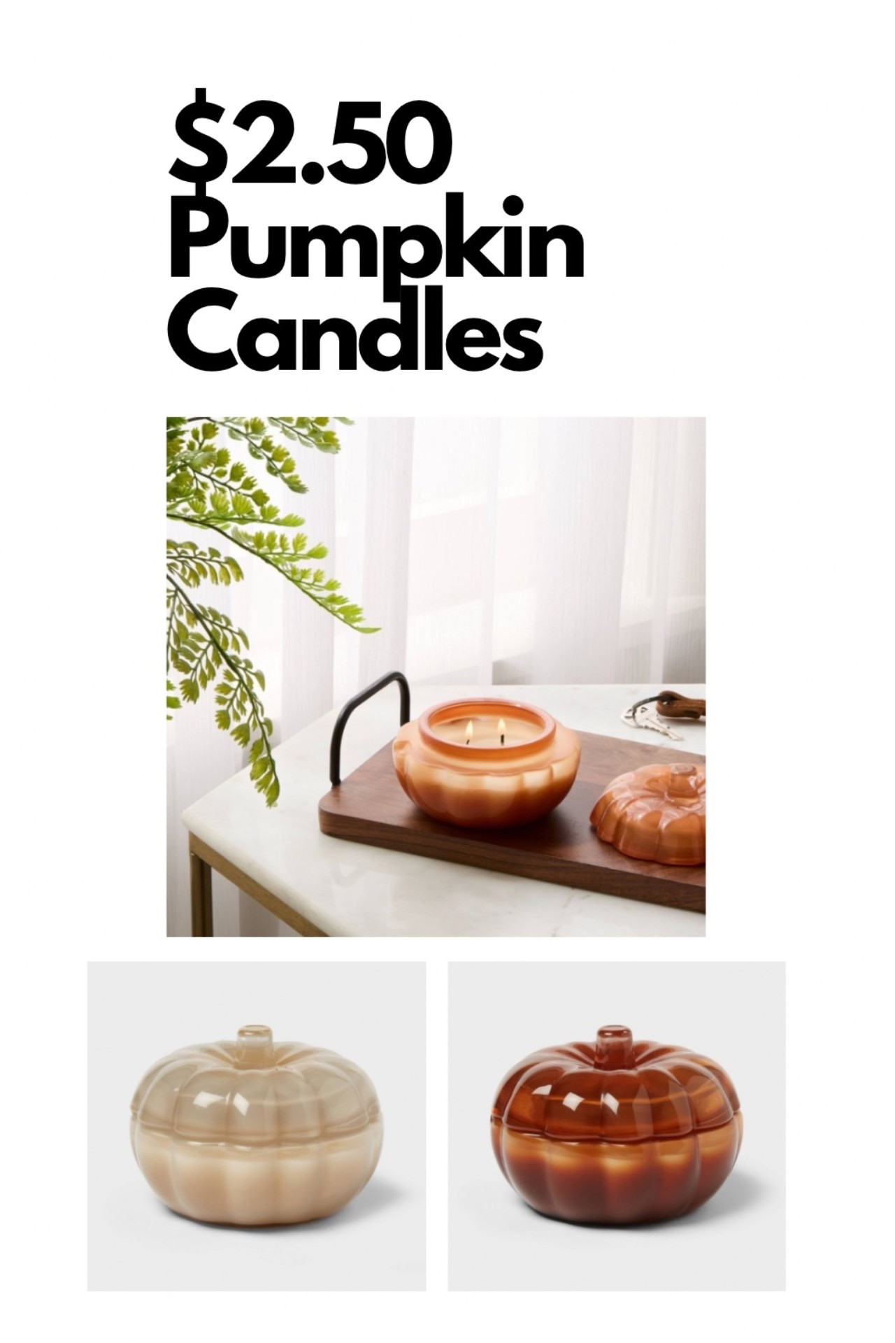 Hurry and grab these popular jarred pumpkin for just $2.50 today!

#LTKSaleAlert #LTKHome #LTKSeasonal