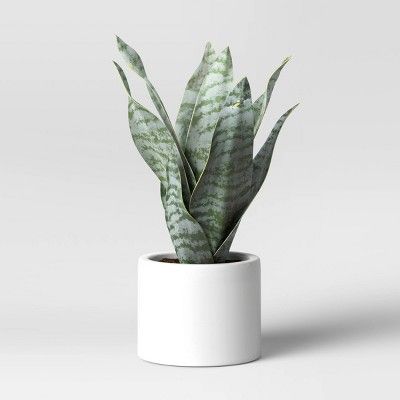 8" x 5" Artificial Snake Plant in Pot - Project 62™ | Target