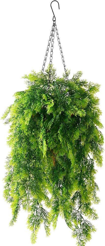 ZFProcess Artificial Hanging Plants in Basket Fake Hanging Curly Seaweed Ferns Plant with Coconut... | Amazon (US)