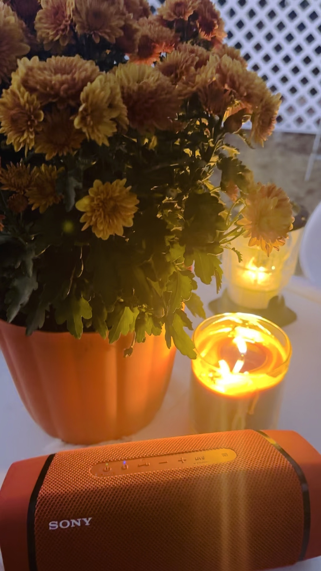 Enjoy Sunday Kate afternoon in the backyard.

#LTKSeasonal #LTKGiftGuide #LTKHome