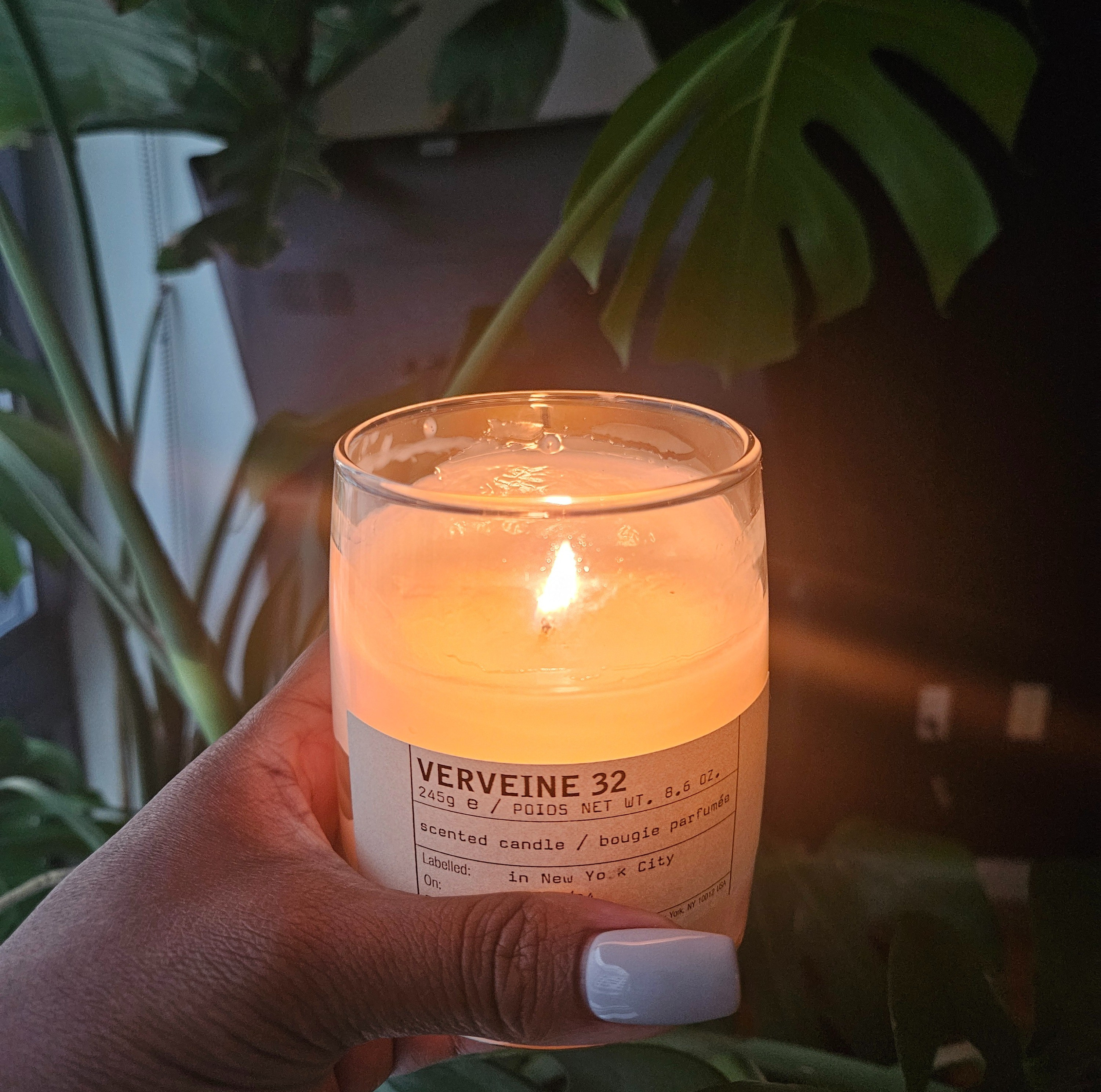 Le Labo Verveine Candle is a blend of eucalyptus and a luscious floral bouquet, that brings a feeling of peace into your home.

#LTKHome #LTKParties #LTKWedding