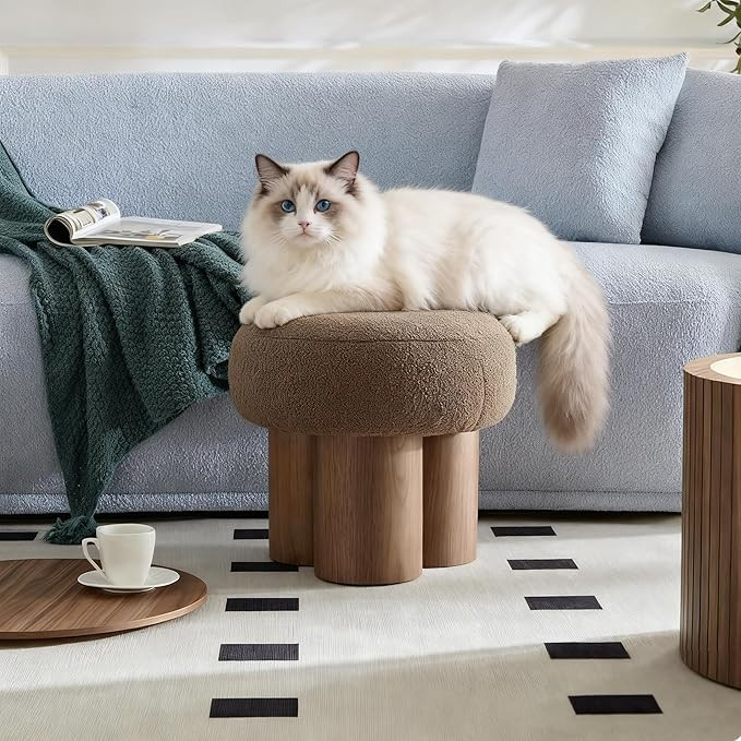 Living Room Ottoman Foot Stool, 17” Round Mid Century Modern Ottoman with Bouclé Teddy Fabric ... | Amazon (US)