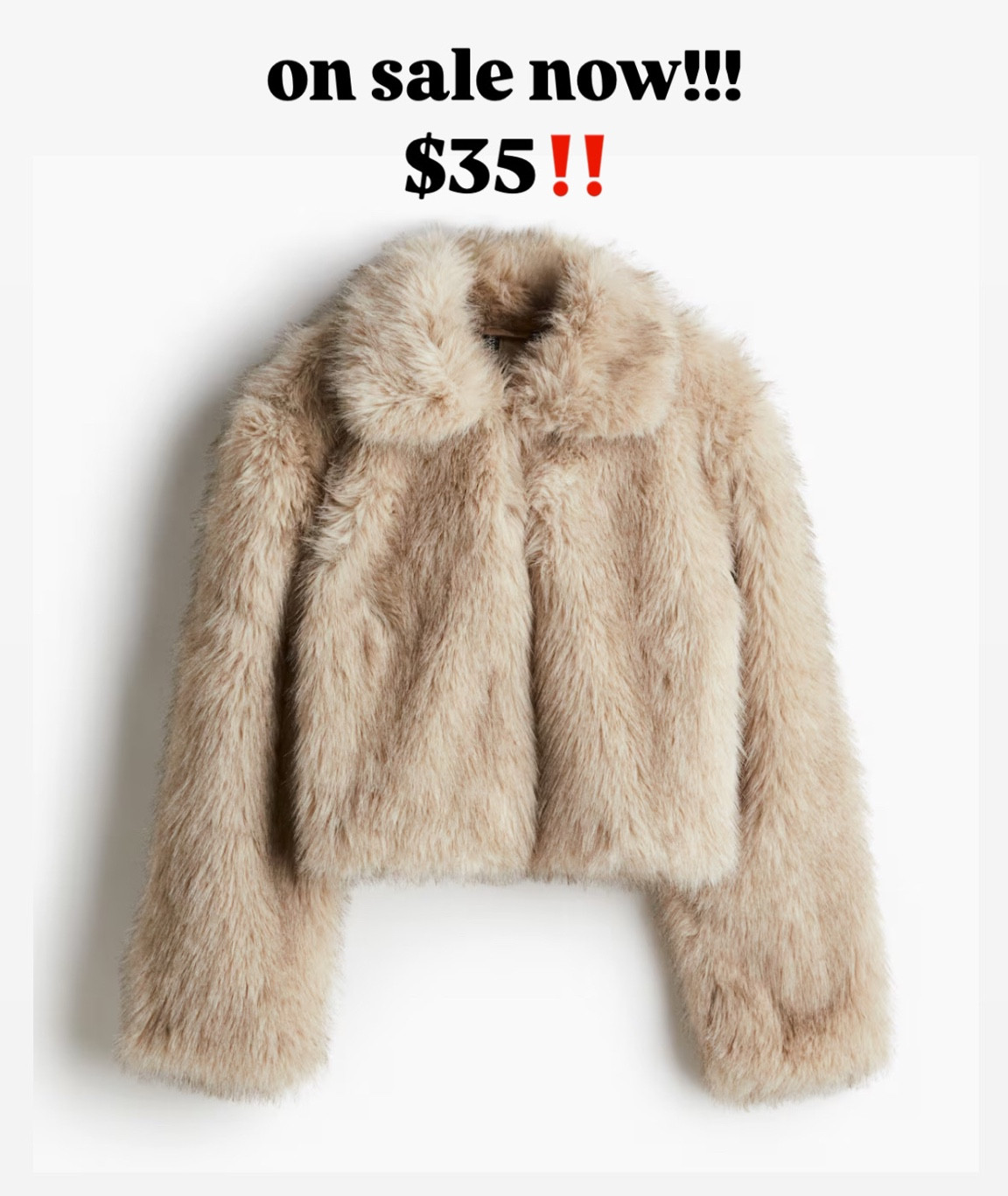 the cutest faux fur jacket on sale for $35 and also available in cheetah print 

#LTKCyberWeek #LTKStyleTip #LTKSaleAlert