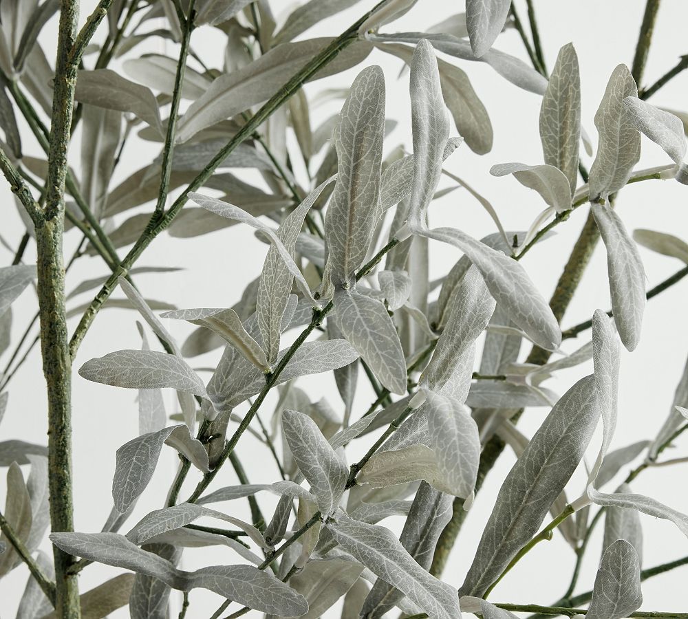 Faux Fading Olive Branch | Pottery Barn (US)