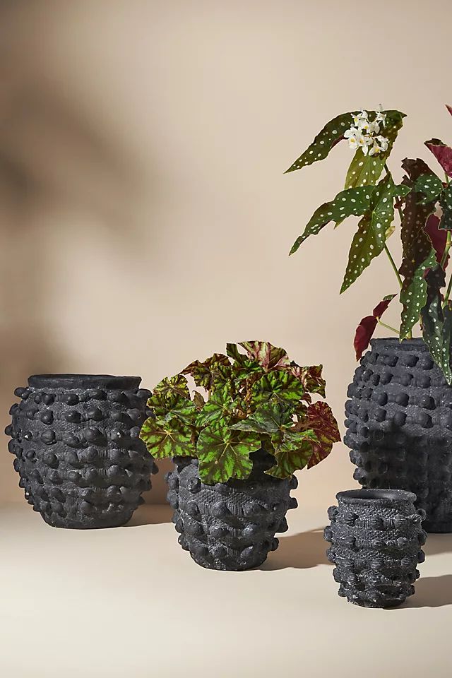 Minka Textured Pot | Anthropologie (US)