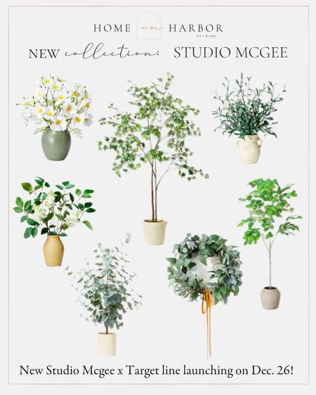 New studio McGee botanicals and greenery coming 12/26!

#LTKhome