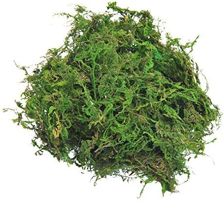 TOPCOMWW Fake Moss for Centerpieces Decor, Aftificial Green Moss for Plant Crafts Flower, 3.5oz | Amazon (US)