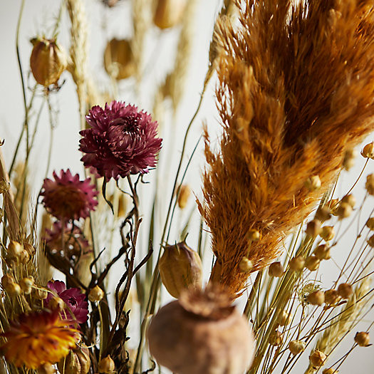 Strawflower Sunset Dried Bouquet | Terrain