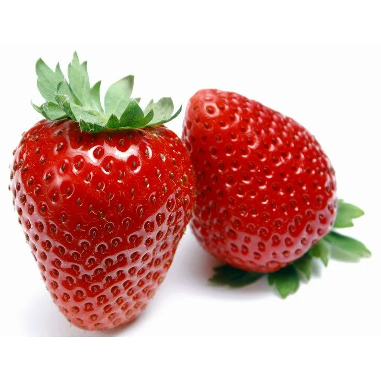 Eversweet Everbearing Strawberry 10 Bare Root Plants - Super Sweet | Walmart (US)