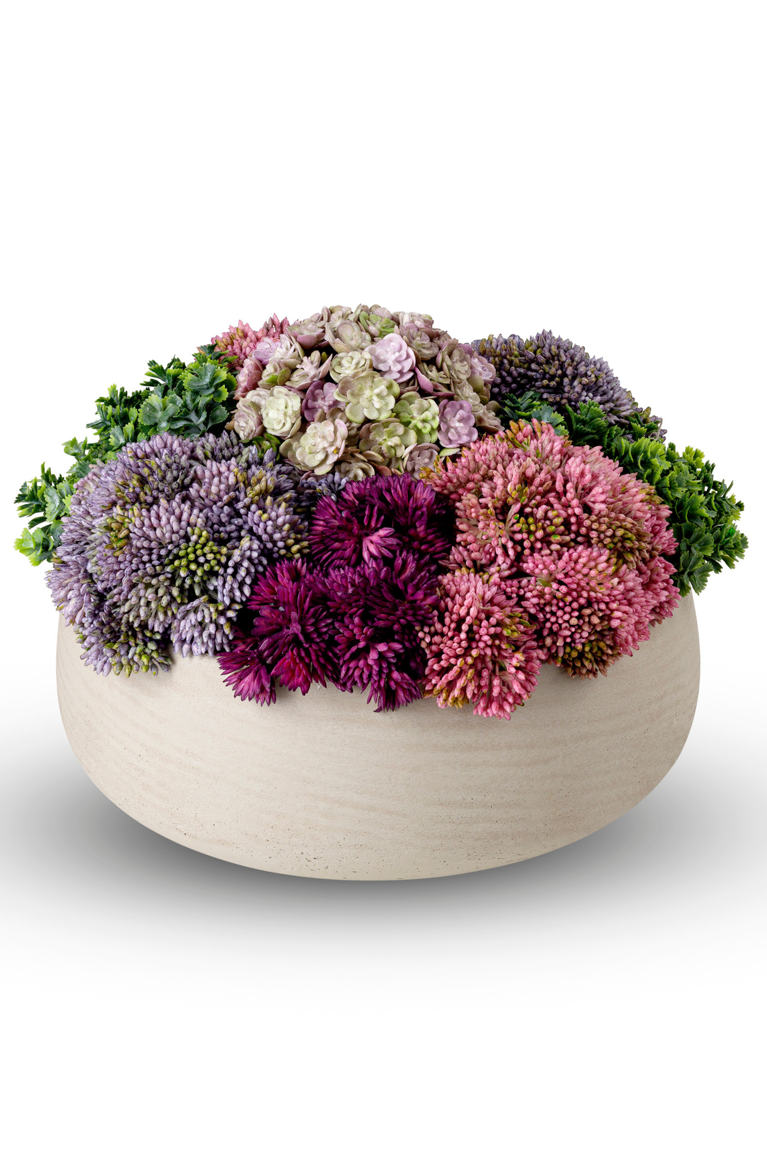 Georgina Sedum Arrangement | Nordstrom