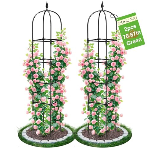 2 Pack Garden Obelisk Trellis for Climbing Plants, 71" Metal Rustproof Plant Support Rose Trellis, Tower Potted Cages for Flowers Fruits Vegetable Vines Indoor & Outdoor, Black(4 Tiers) | Amazon (US)