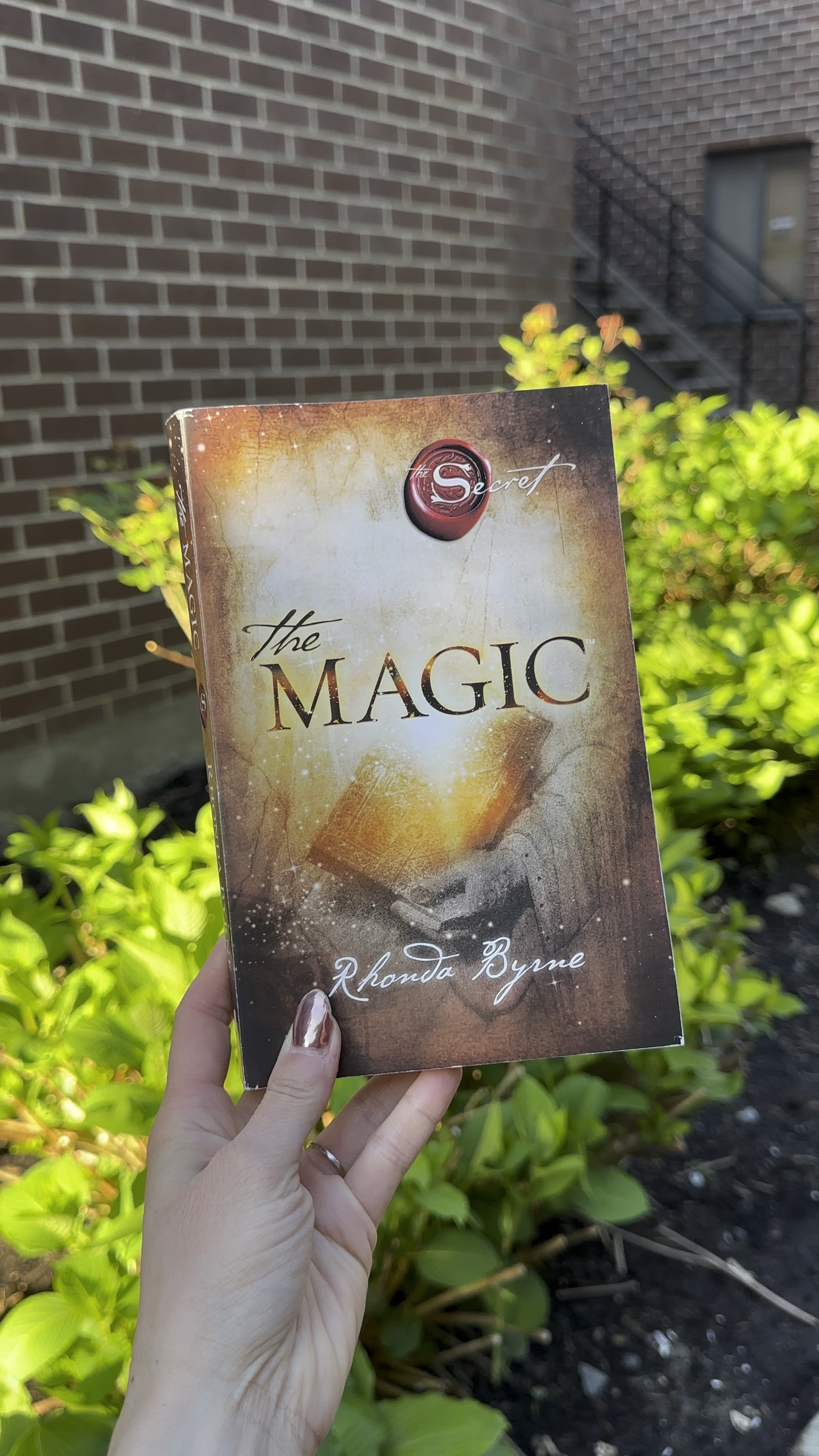 The Magic by Rhine Byrne. Start your gratitude! 🙏 