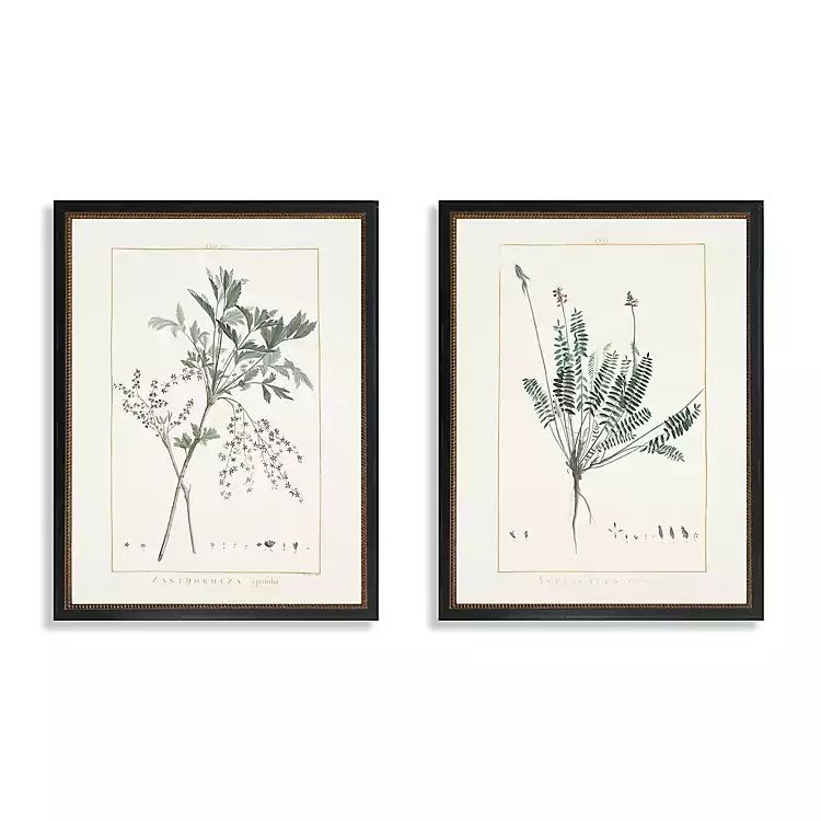 Greenery I Framed Art Prints, Set of 2 | Kirkland's Home