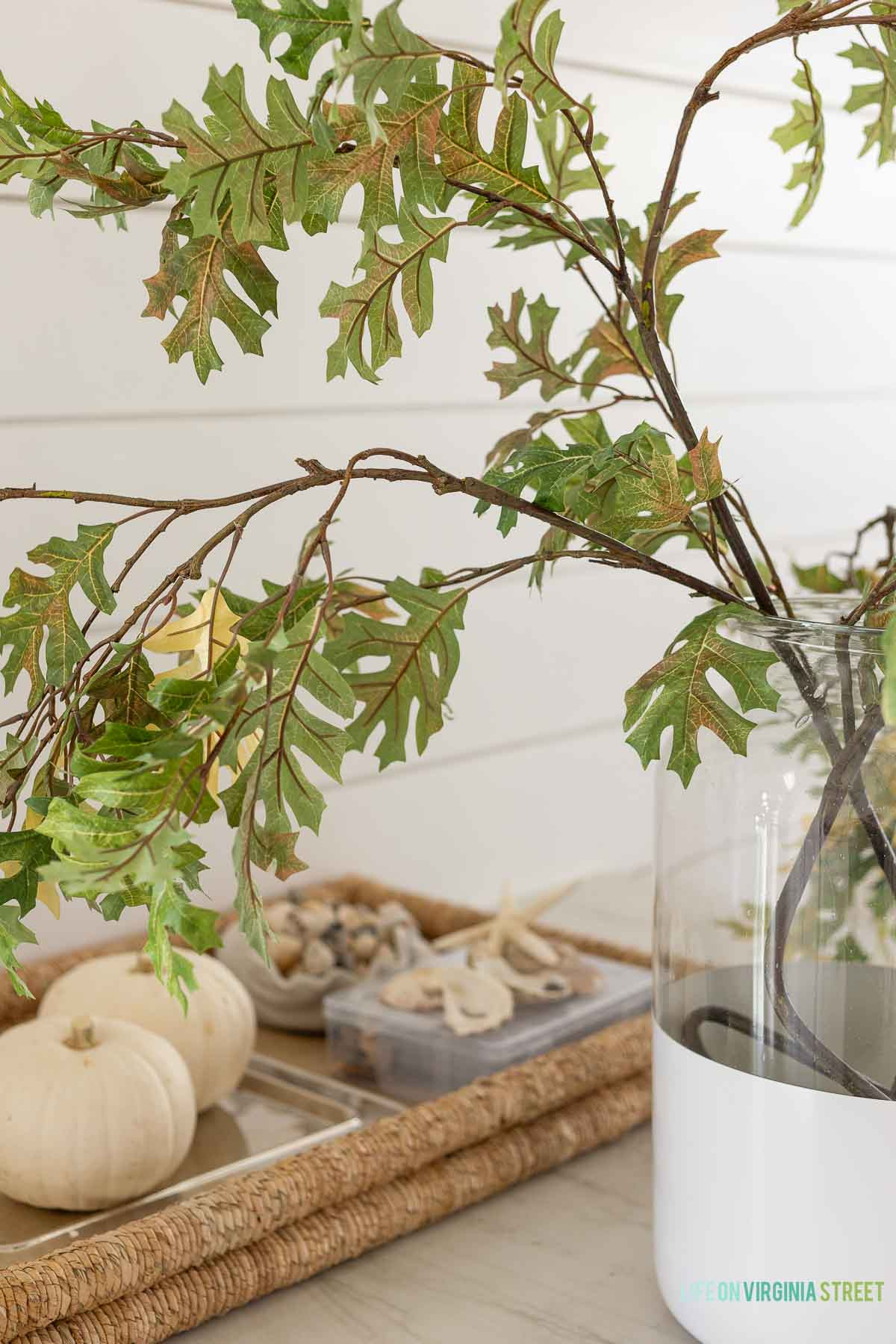 fall coastal kitchen // faux stems // fall modern home // fall pumpkins // fall decor  

 #LTKSeasonal #LTKHome #LTKStyleTip