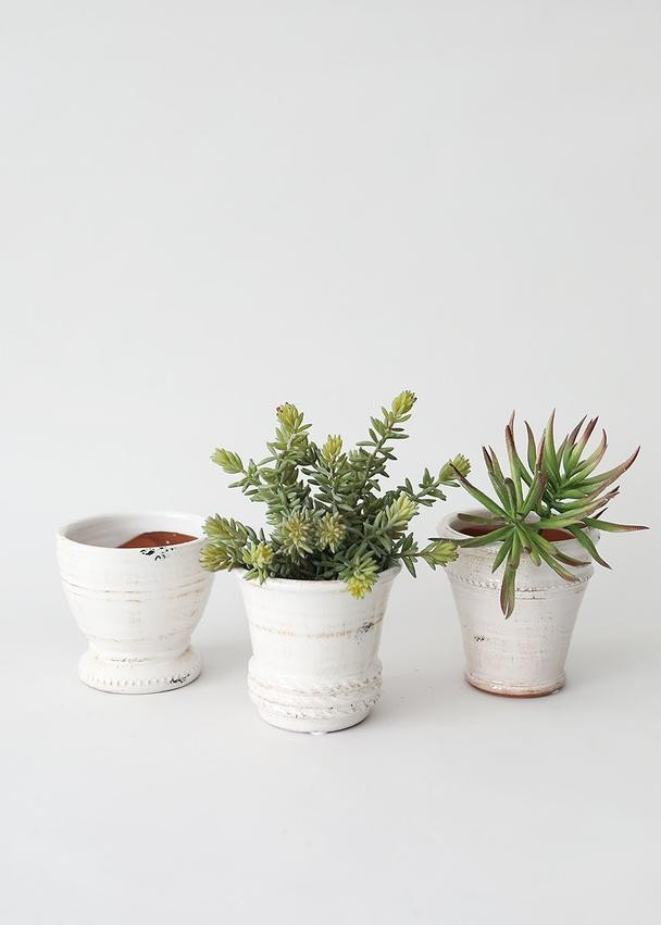 Set of 3 Antiqued White Glazed Clay Pots - 5-5.5" Wide | Afloral (US)