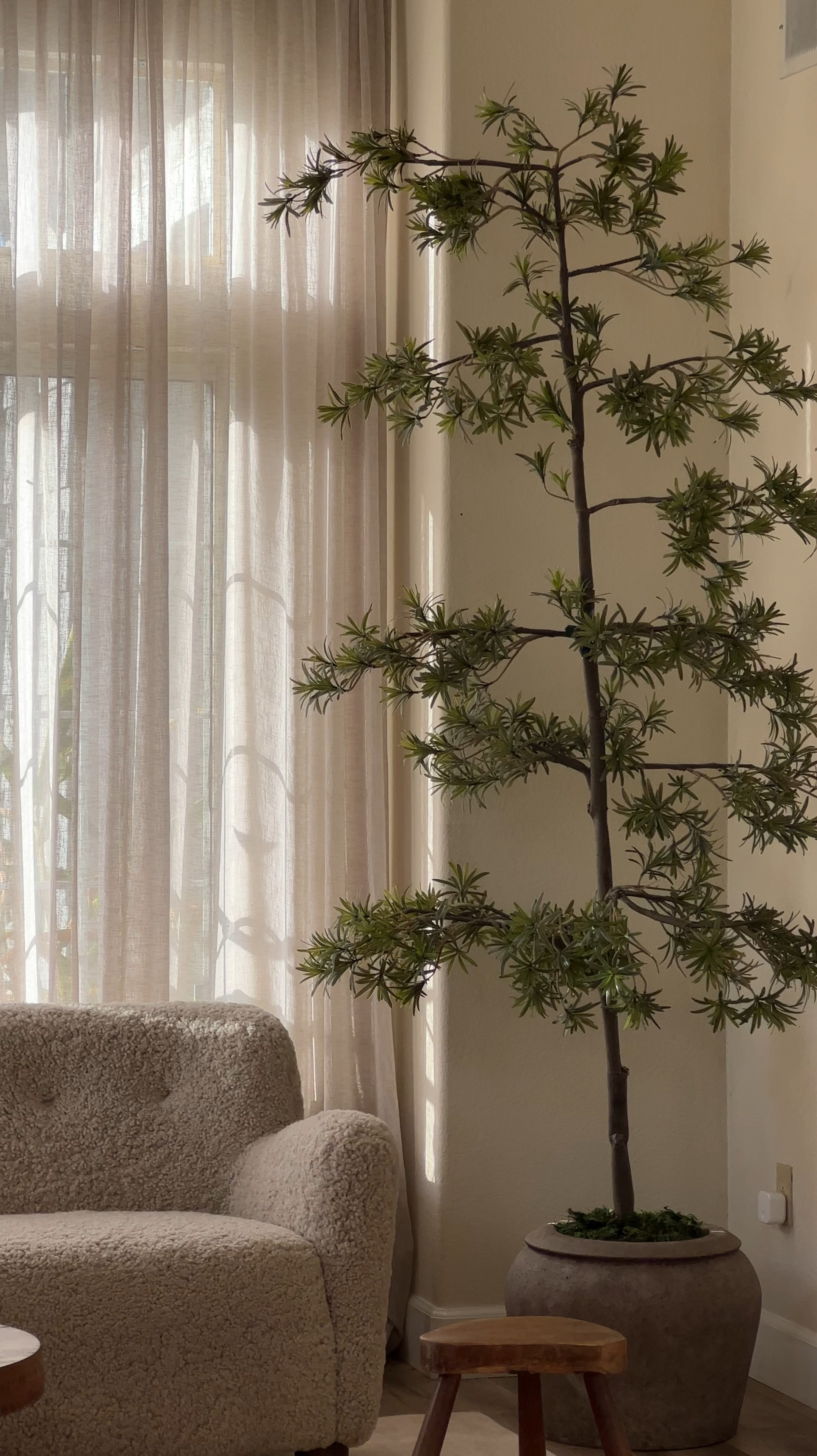 tree + planter in my living room 

#LTKHome