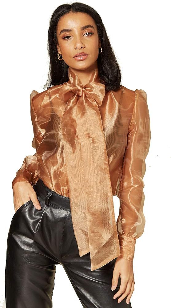 Pussybow Sheer Blouse - Ladies See Through Long Bow Tie Neck Sleeve Shirt Top | Amazon (US)