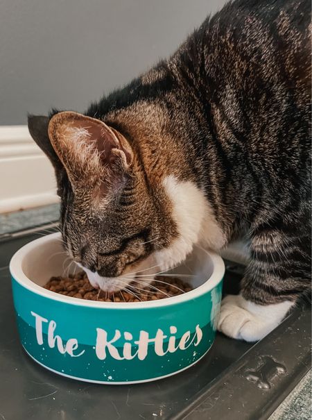 Louis enjoys the finer things in life, and that includes eating his favorite kibble out of fancy, personalized bowls 🥣

#LTKfamily #LTKhome #LTKfindsunder50