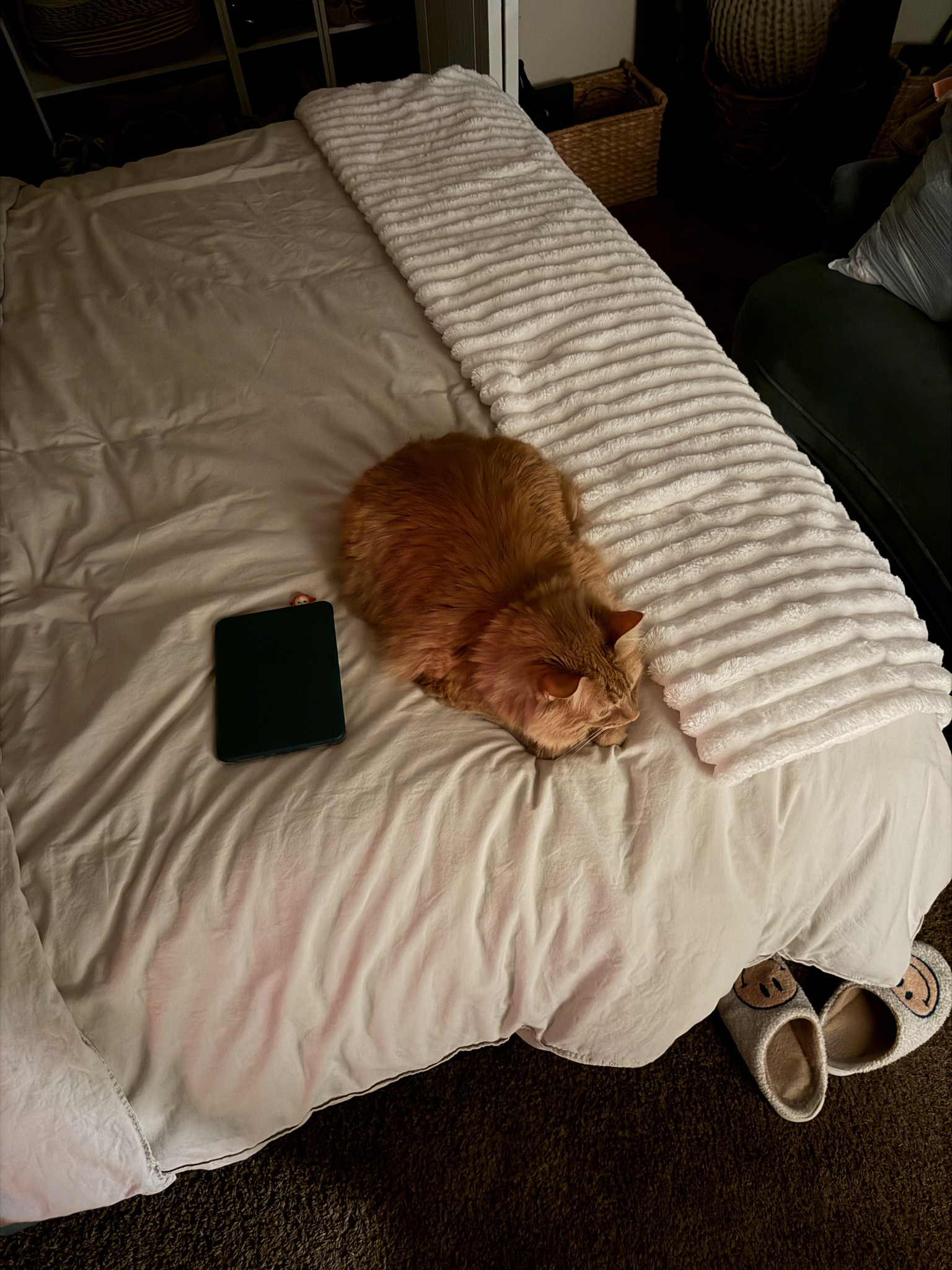 the best sight to see after a long day out and about

#LTKdayinmylife #LTKHome #LTKselfcare