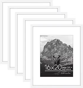 Americanflat 16x20 Picture Frame in White - Set of 5 Frames - Displays 11x14 With Mat and 16x20 W... | Amazon (US)