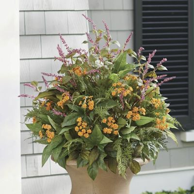 Summer Dawn Urn Filler | Grandin Road