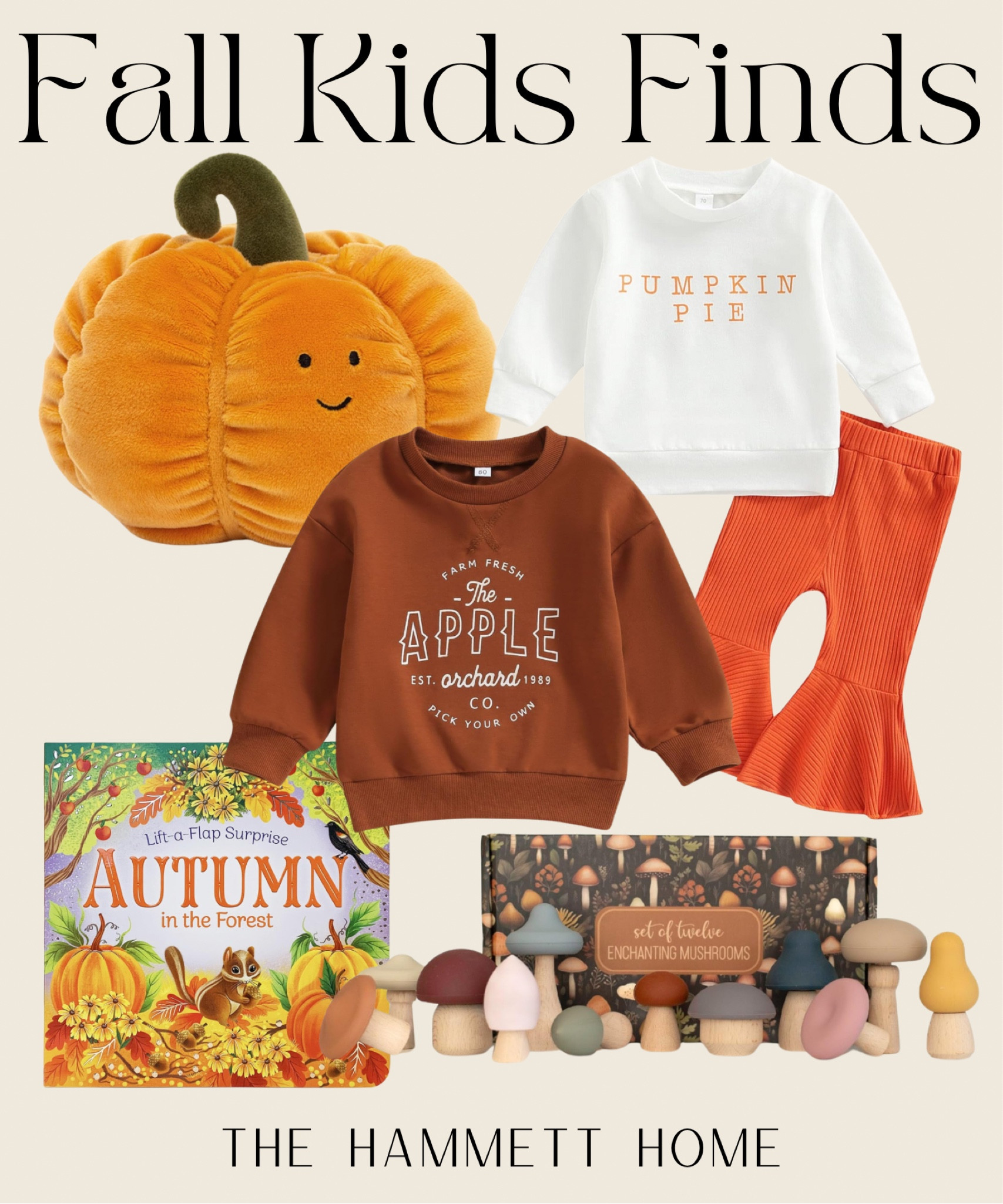 fall, autumn, amazon, kids, family, toys, clothes, affordable, budget, trending, viral, cute, seasonal 

#LTKBaby #LTKKids #LTKFamily
