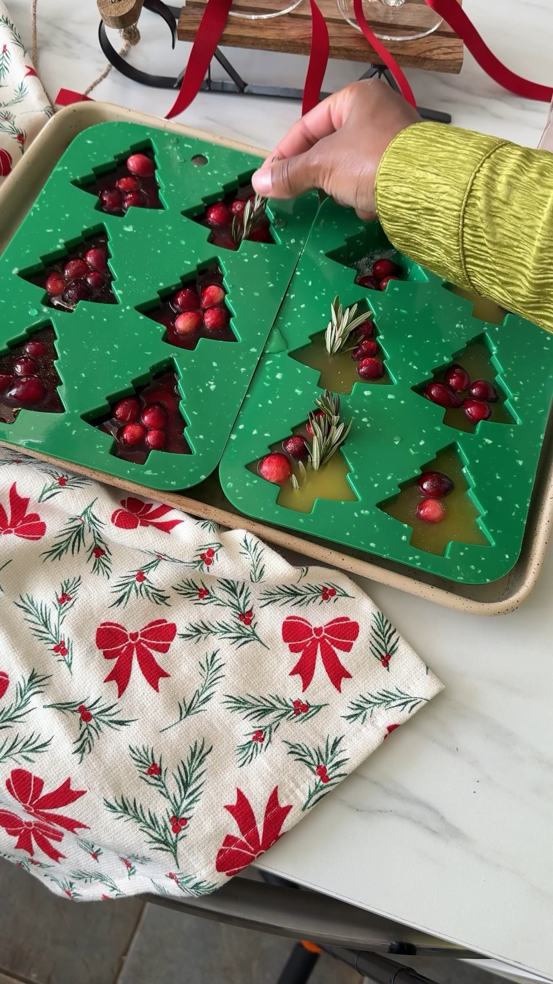 Festive ice cubes 

#LTKHome #LTKParties #LTKHoliday