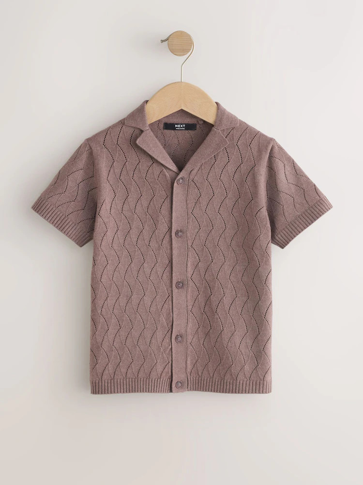 Buy Chocolate Brown Textured Revere Collar Knitted Polo Shirt (3-16yrs) from Next USA | Next US