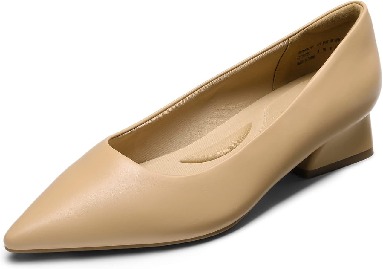 DREAM PAIRS Women's Chunky Heels Closed Toe Low Block Work Shoes Pointed Toe Dress Comfortable We... | Amazon (US)