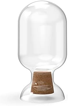 Amazon.com: Glass Match Holder with Striker - Fancy Matches in a Jar Cloche - Decorative Home Dec... | Amazon (US)