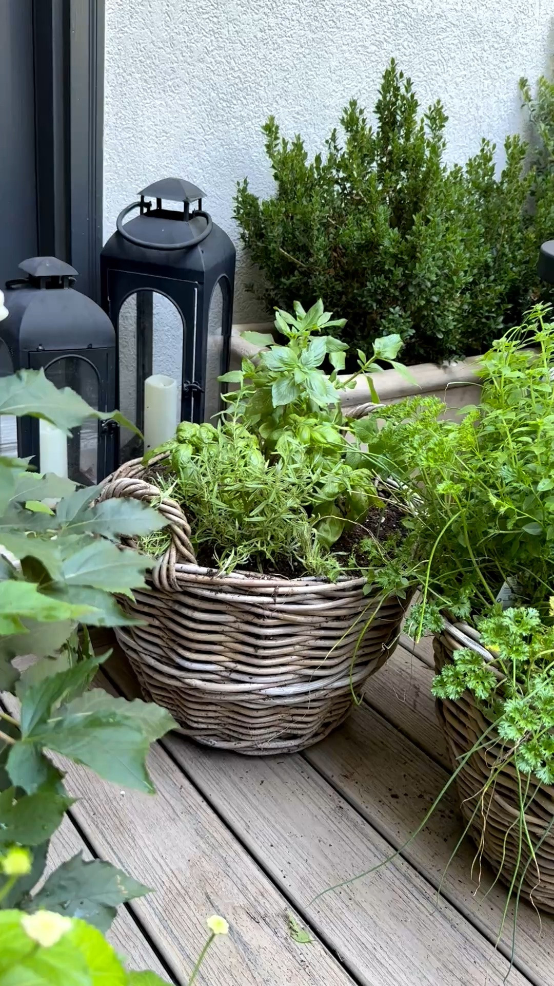 These baskets are back in stock!! Ps. Don’t overfill them when you plant in them and they will grow and fill out the planter!

#LTKSeasonal #LTKHome #LTKSaleAlert