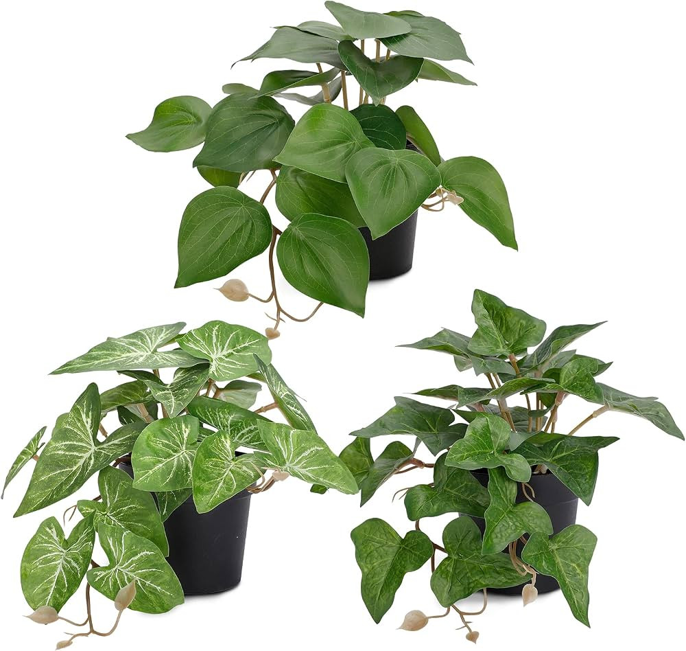 COCOBOO 3 Packs Fake Plants, Small Artificial Plants with Plastic Pots, Fake Potted Desk Plants f... | Amazon (US)
