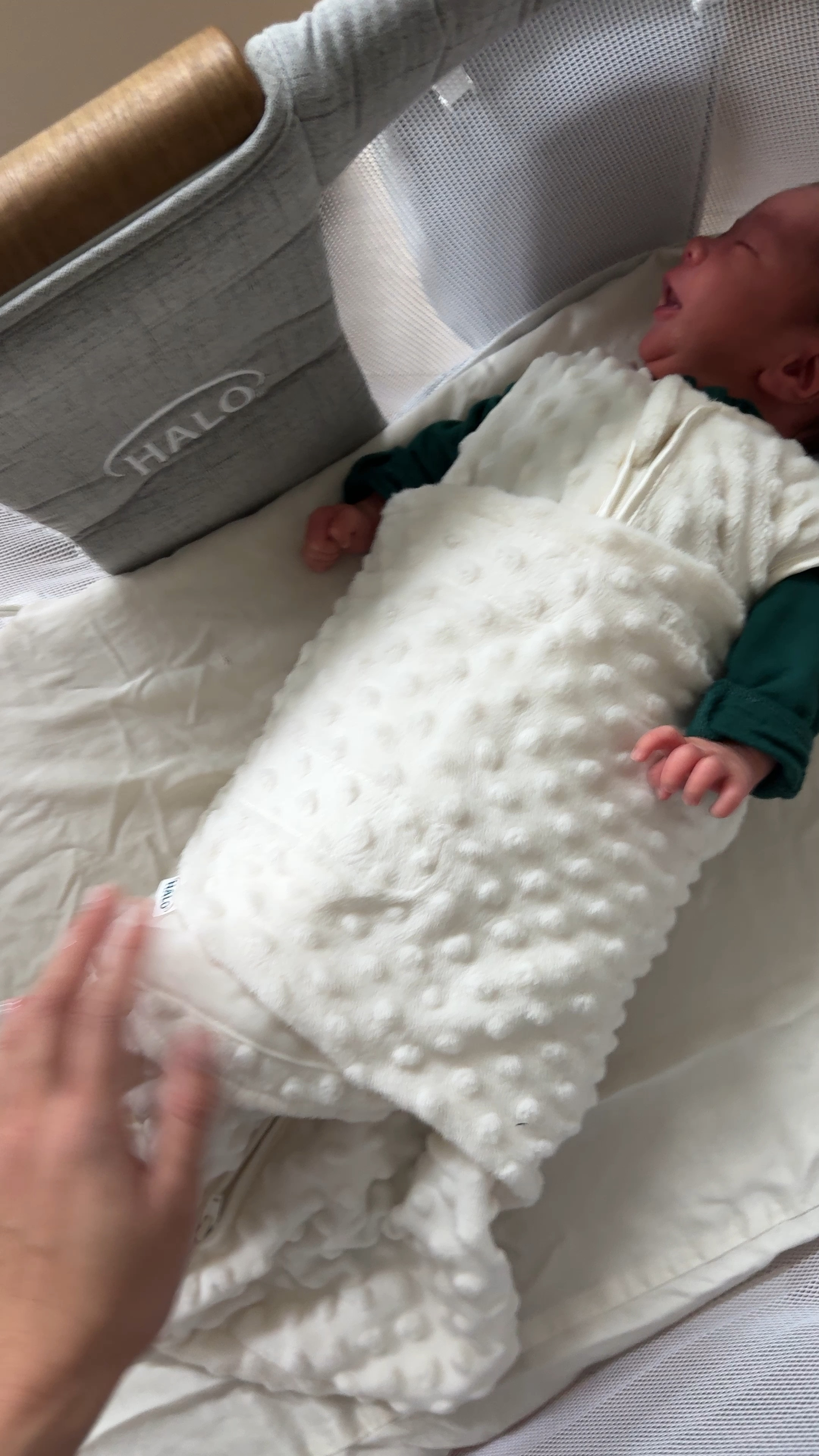 HALO Sleepsack Swaddle, 3Way … curated on LTK