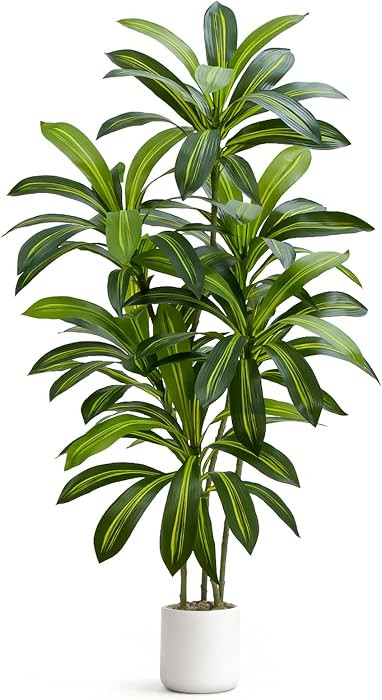 5ft Artificial Dracaena White Planter | Amazon (US)