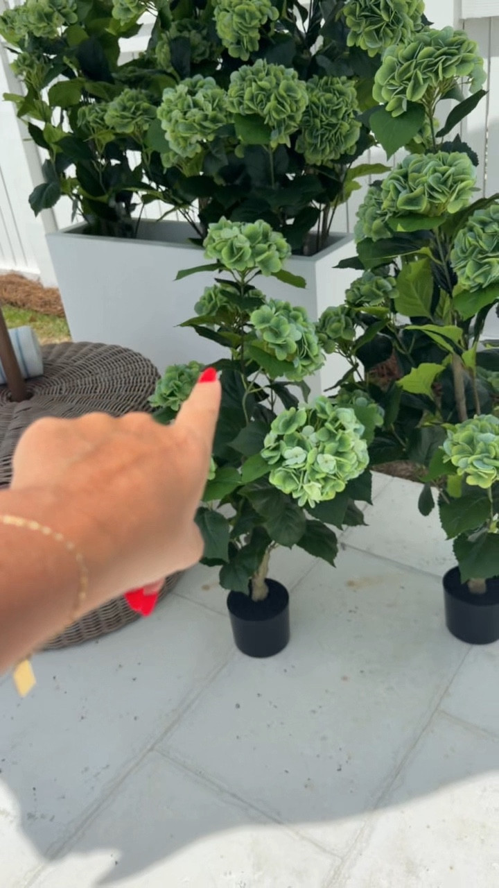 These are incredible! All from Amazon!

#LTKHome #LTKSeasonal