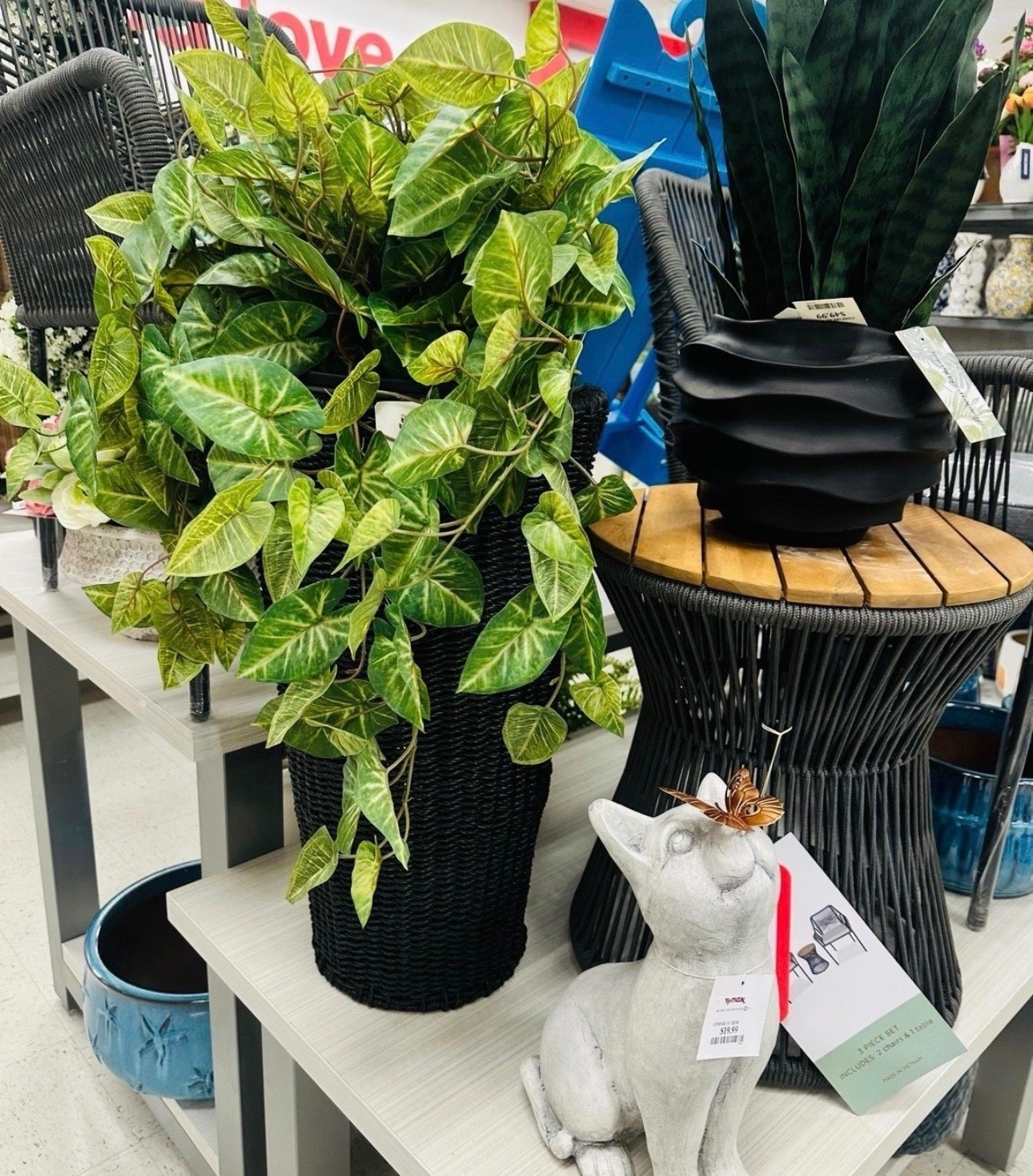 Adding greenery = instant home upgrade 🌿✨
TJ Maxx always has the BEST affordable decor pieces for that cozy aesthetic

#LTKHome